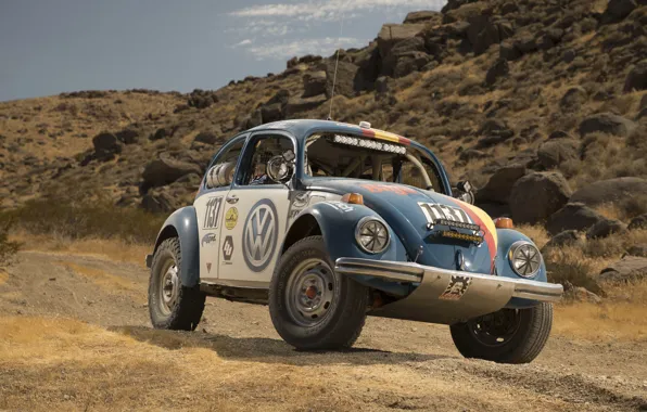 Picture rally, Baja 1000, Volkswagen, Desert Race, 2017, Wolkswagen, Beetles, Baja 1000