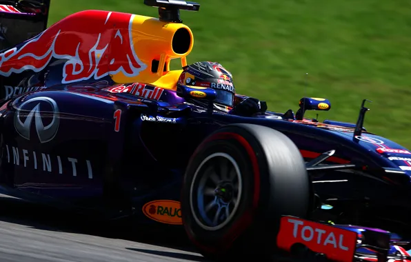 Disk, Formula 1, Red Bull, Vettel
