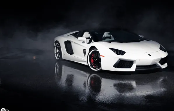 Picture White, Aventador, voitur, LP-700/4