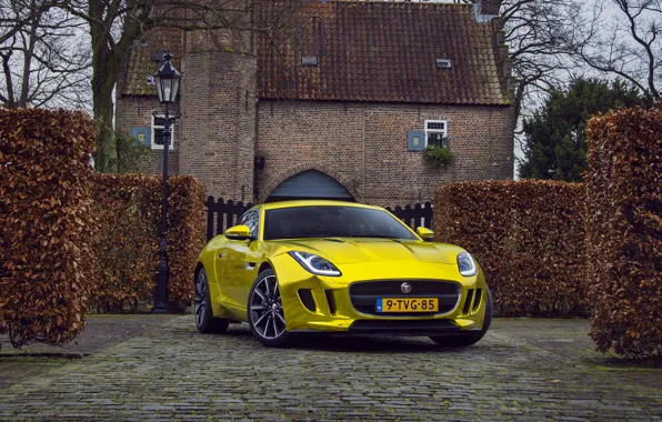 Picture gold, jaguar, coupe, f-type