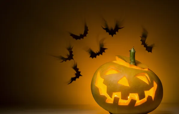 Smile, Pumpkin, Halloween, Halloween, Bats