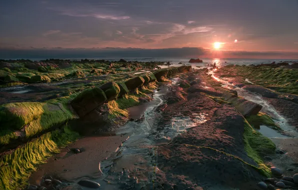 Picture sand, sea, beach, the sky, the sun, clouds, light, algae