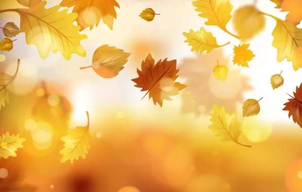 Picture autumn, leaves, background, colorful, maple, background, autumn, leaves