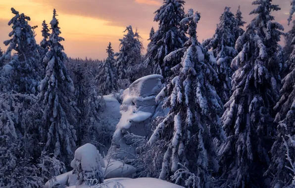 Winter, snow, trees, landscape, sunset, nature, stones, ate