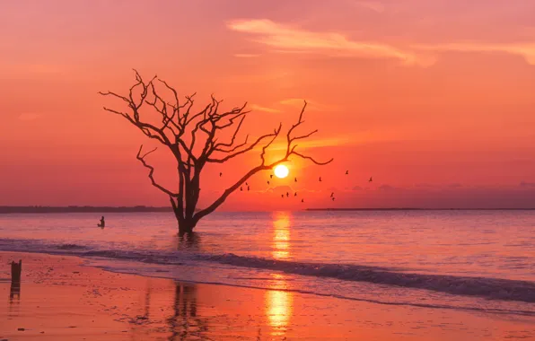Sand, sea, wave, beach, the sky, the sun, clouds, light