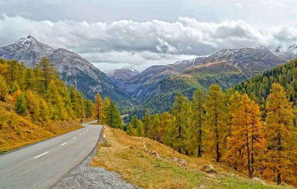 Road, autumn, forest, trees, mountains, Switzerland, the Canton of Grisons, Alvaneu Village