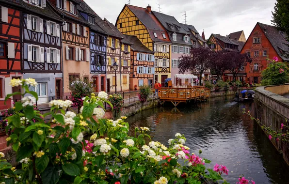 Picture the sky, flowers, France, home, channel, Colmar, Fachwerk