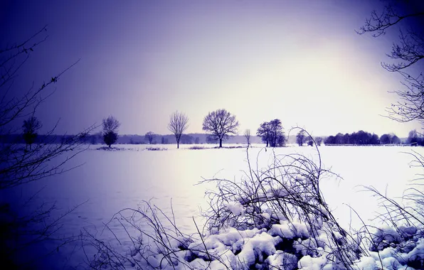 Picture winter, the sky, snow, trees, Bush, horizon, lens