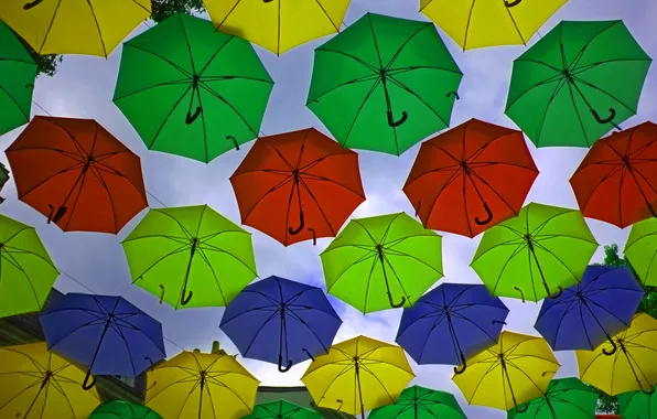 Picture background, umbrellas, decoration