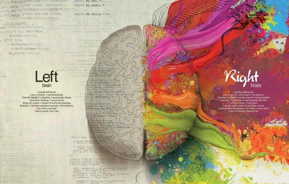 Creative, paint, brain