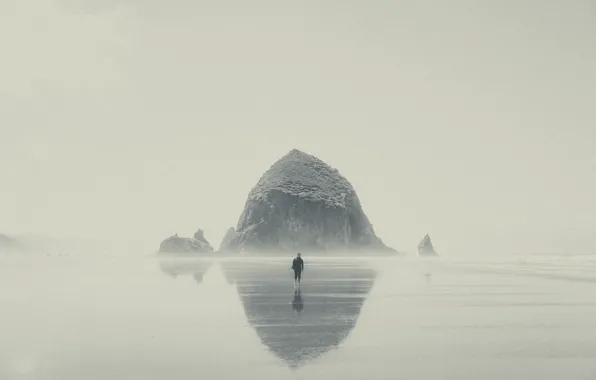 Wave, beach, fog, reflection, stone, mirror, male, rainy