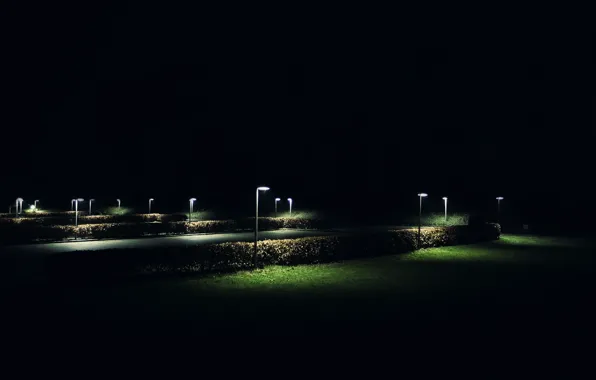 Picture grass, night, Bush, lantern