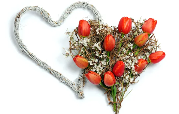 Photo, Flowers, Heart, Tulips, Valentine's day