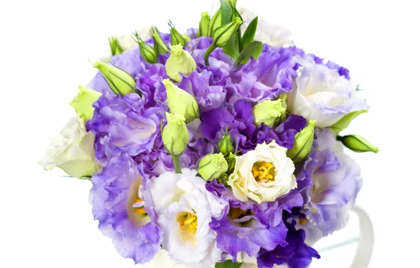Flowers, eustoma, Bouquets, Eustoma