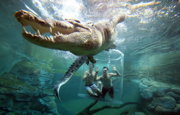 People, Australia, Teeth, Mouth, Crocodile, Two, Darwin, Australia