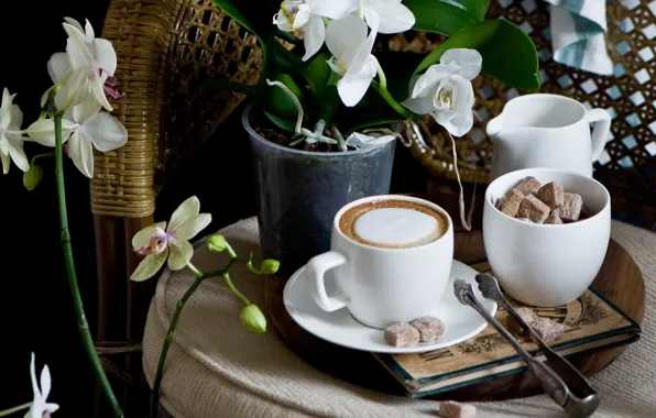 Picture coffee, Cup, sugar, Orchid