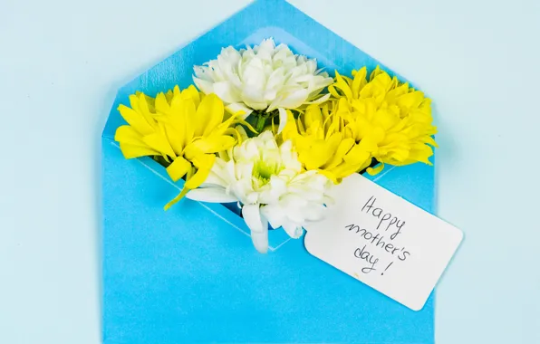 Flowers, the envelope, congratulations, Mother's Day
