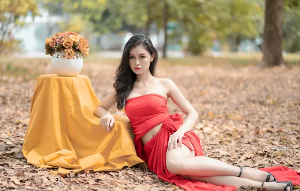 Trees, Park, foliage, Asian, trees, beautiful girl, park, vase with flowers