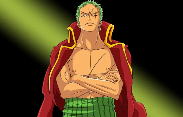 Roronoa Zoro-wallpapers animes  Mangá one piece, Anime, One piece anime