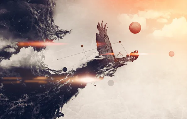 Style, collage, eagle, graphics, hd wallpaper