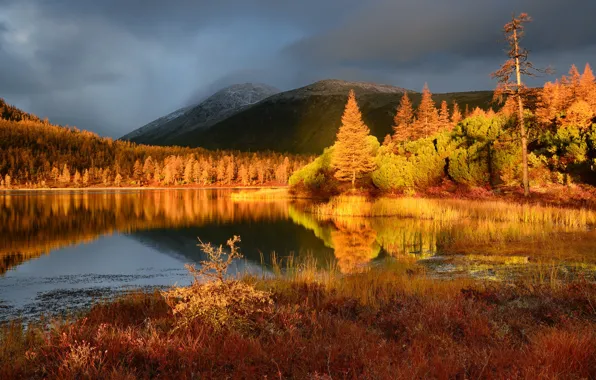 Picture autumn, landscape, nature, fog, lake, dawn, hills, morning