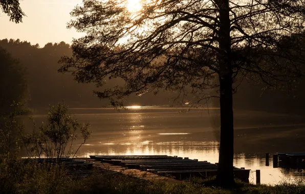 Picture landscape, lake, morning