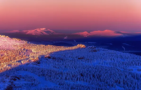 Picture winter, trees, mountains, space, winter, mountains, expanse, view of the snowy forest