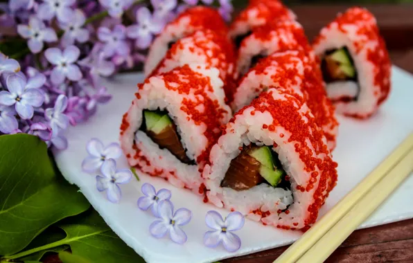 Japan, food, lilac, sushi, rolls