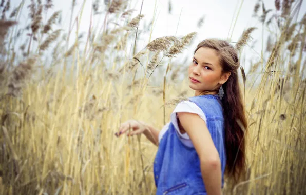 Picture LOOK, GRASS, BROWN hair, STRAW