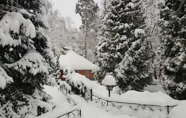 Nature, Winter, Snow, House, House, Nature, Winter, Snow