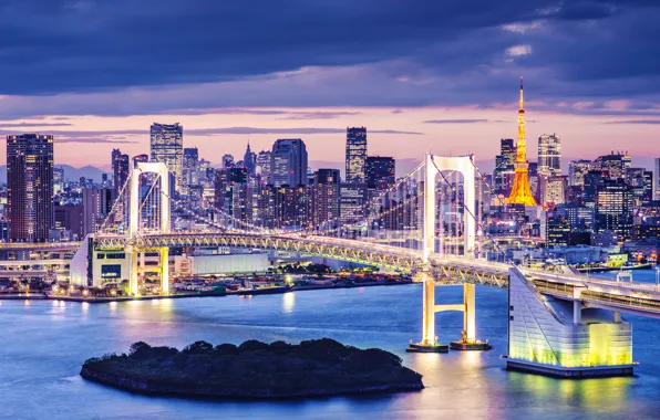 Picture lights, lights, Japan, Tokyo, Japan, night city, bridge, night