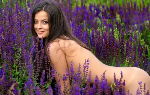 Erotic, girl, buttercups