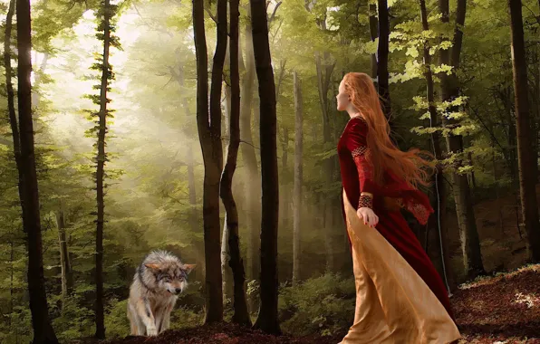 Picture forest, girl, wolf, the situation