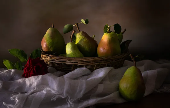 Flower, leaves, light, the dark background, table, rose, towel, fabric