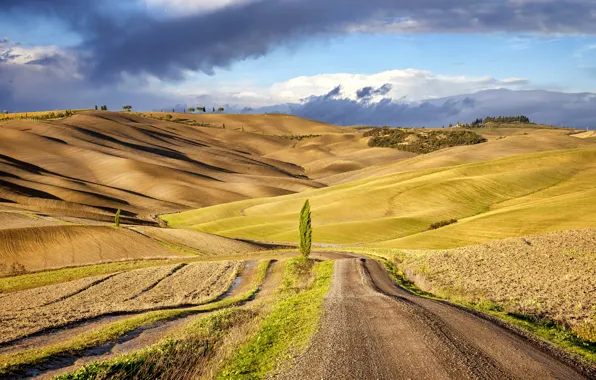 Road, field, tree, hills, Italy, Tuscany, cypress