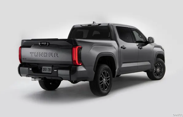 Toyota, Pickup, rear view, exterior, Tundra, Nightshade, 2023, Toyota Tundra Nightshade