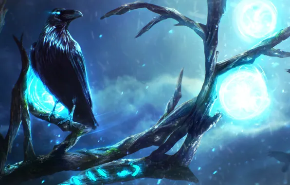 Night, tree, bird, magic, branch, mystic, art, Raven