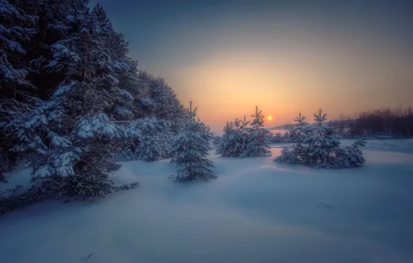 Picture winter, forest, snow, trees, landscape, sunset, nature