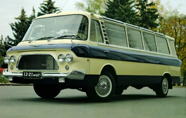 Rarity, minibus, ZIL, project-118, Youth