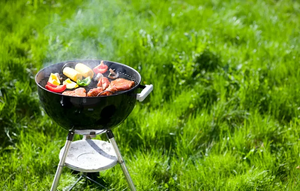 Picture grass, corn, meat, vegetables, kebab, smoke, grill