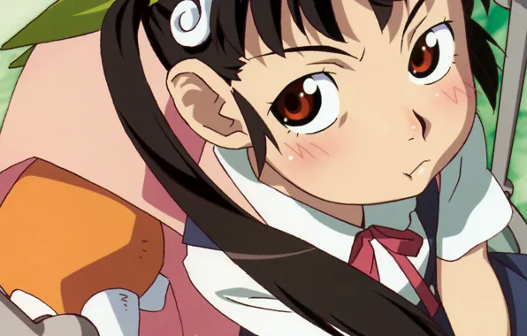 Face, blush, schoolgirl, backpack, satchel, cheeks, Bakemonogatari, Hachikuji Mayo Believe