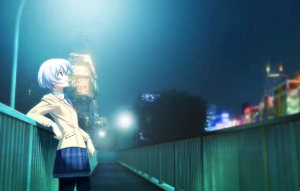 Girl, bridge, the city, lights, home, anime, lights, schoolgirl