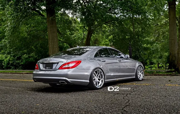 Picture Mercedes-Benz, CLS 550, D2 Forged