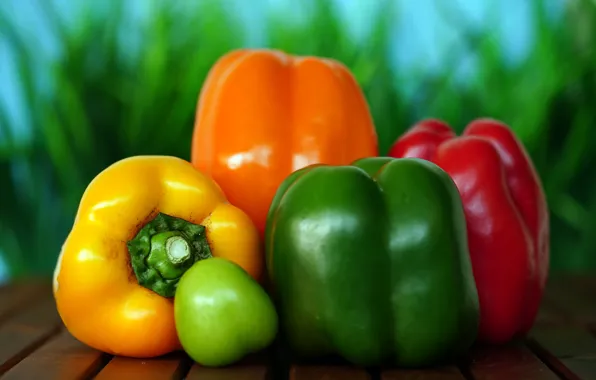 Yellow, red, green, pepper, sweet, Bulgarian