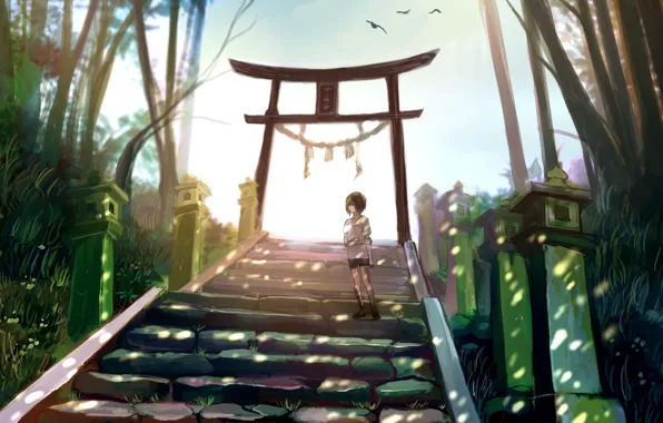 Girl, nature, lights, torii