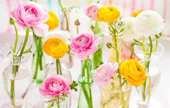 Flowers, vases, Asian Buttercup
