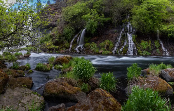 Grass, branches, stones, rocks, vegetation, waterfall, waterfalls, the bushes