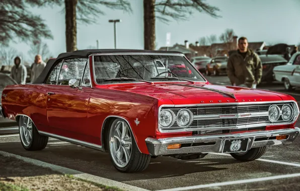 Picture Chevrolet, 1965, Chevelle, Chevrolet Chevelle, Chevrolet Chevelle 1965