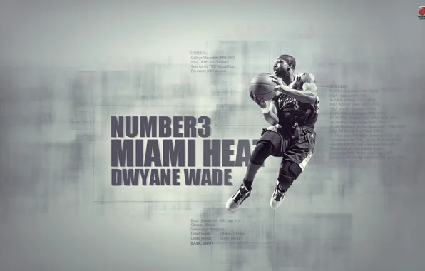 Miami, basketball, Miami, basketball, nba, NBA, Miami Heat, Miami Heat