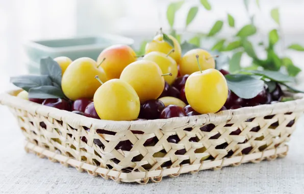 Leaves, cherry, berries, table, yellow, fruit, tray, light background